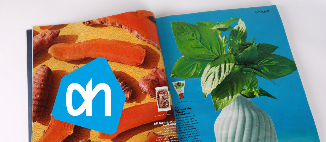 Vaas Olivia schittert in de Allerhande